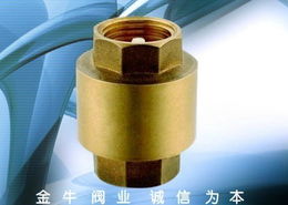 玉環(huán)縣金牛閥業(yè)制造廠 專注法蘭式鴨嘴閥的專業(yè)制造